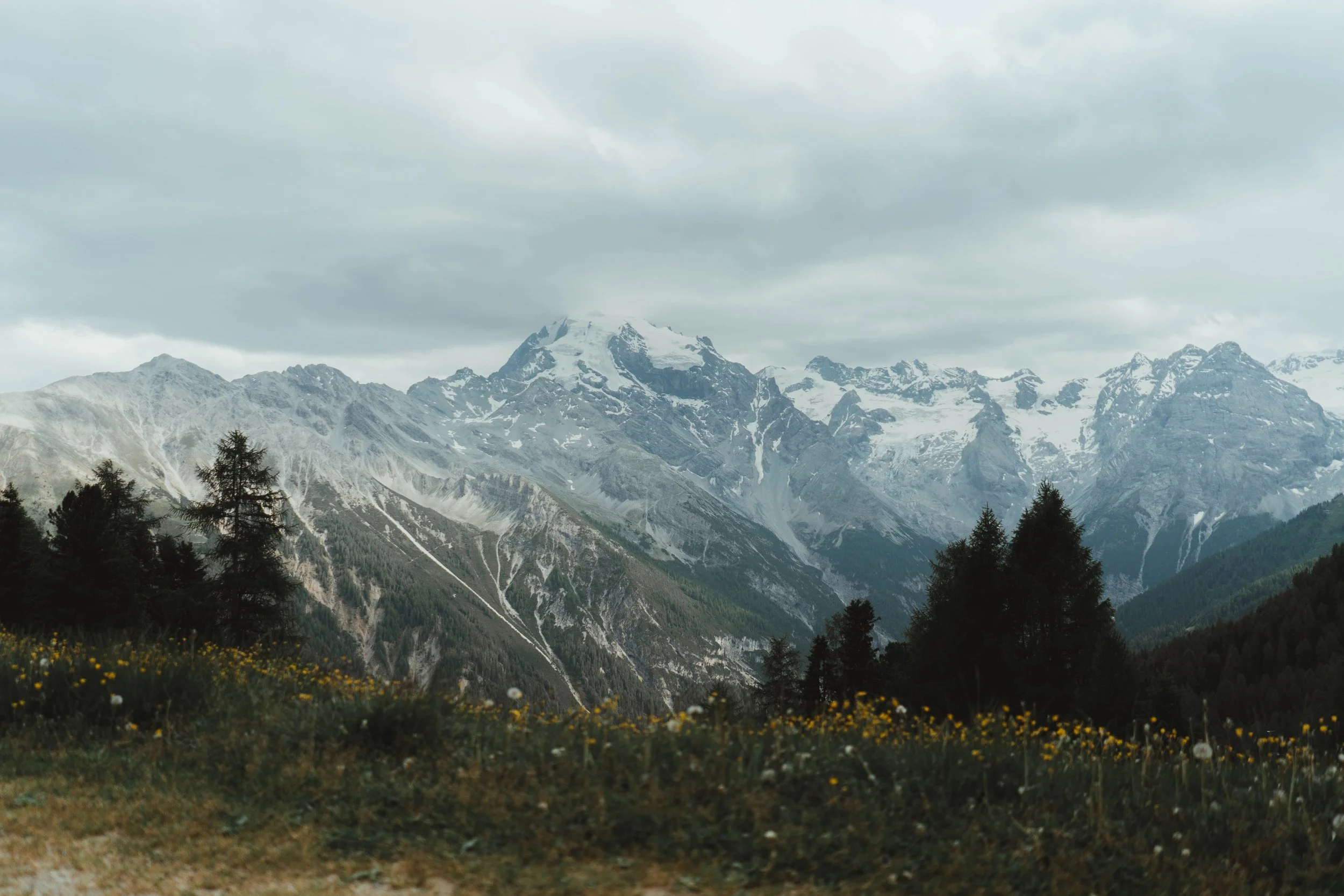 IMG_8150.jpeg