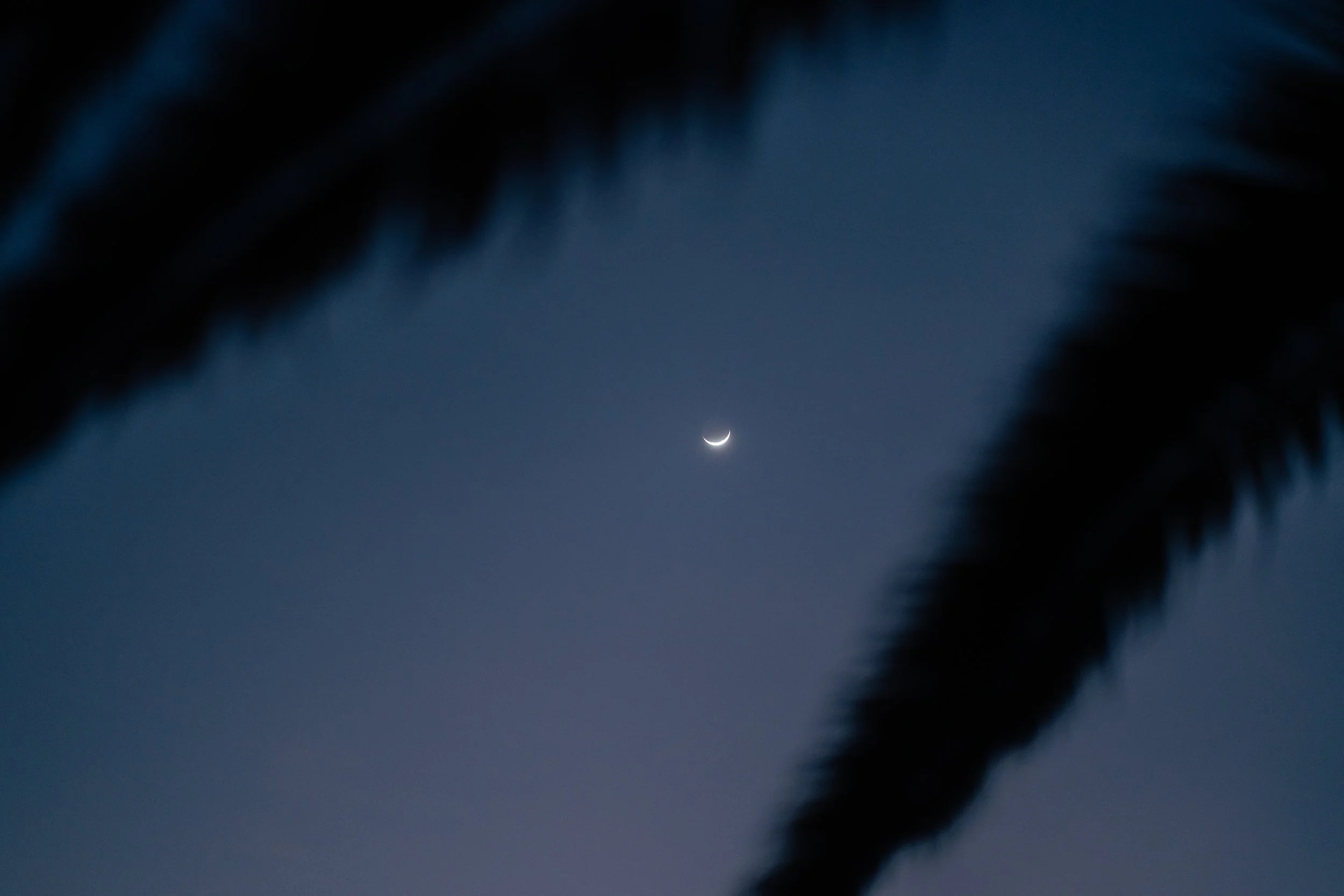 DSC09296.jpeg