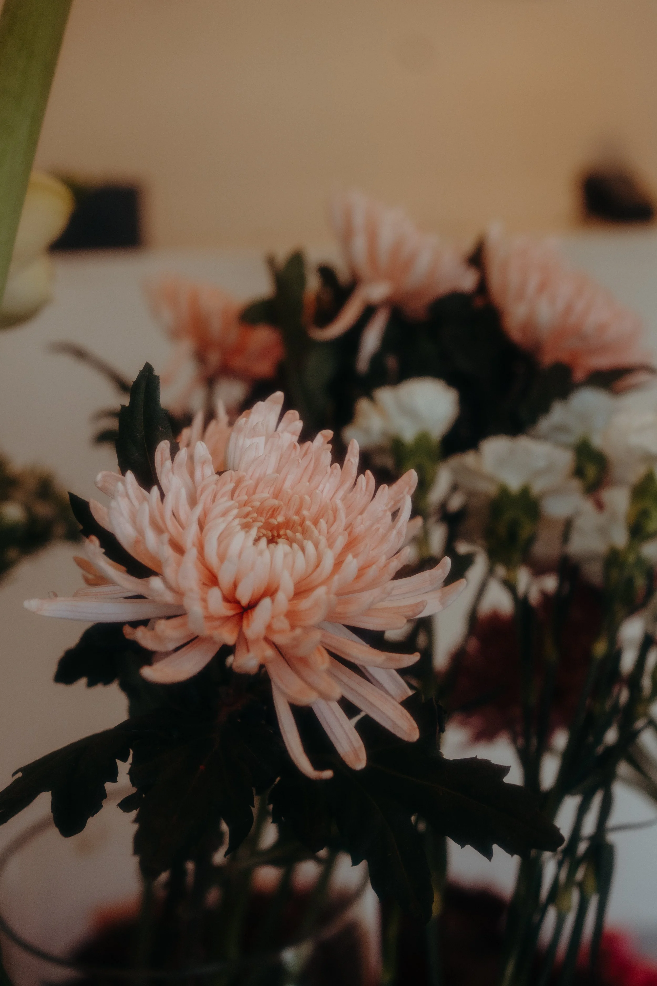 DSC04208.jpeg