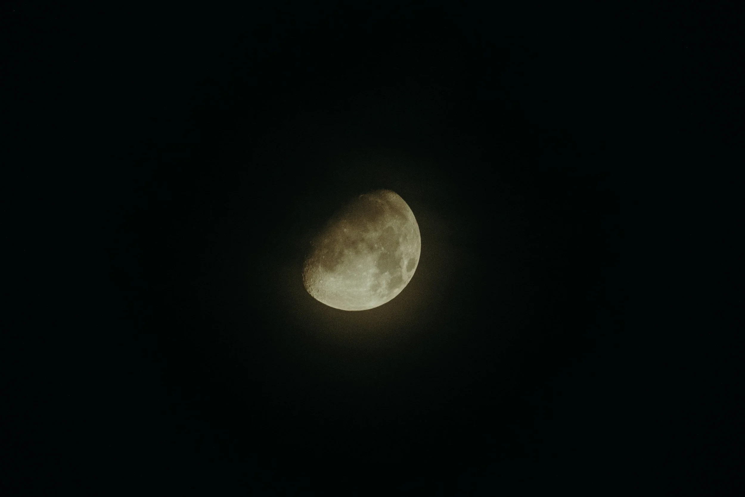 DSC08420.jpeg