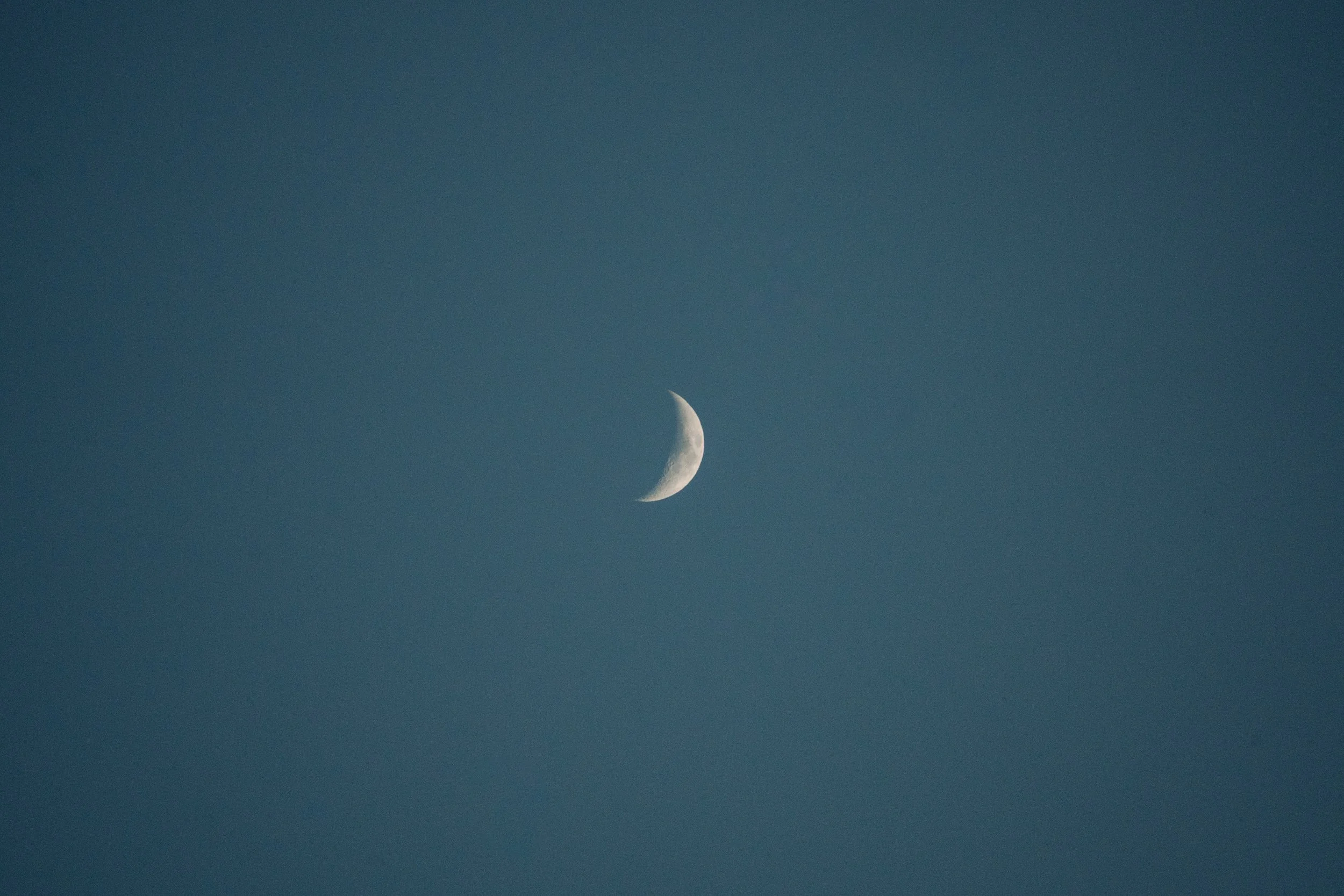 DSC06837.jpeg