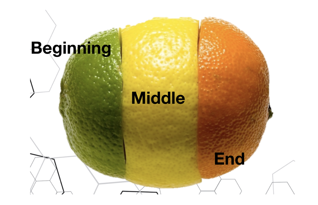 A fruit made up of a lime slice, an orange slice, and a lemon slice with the words beginning, middle, and end