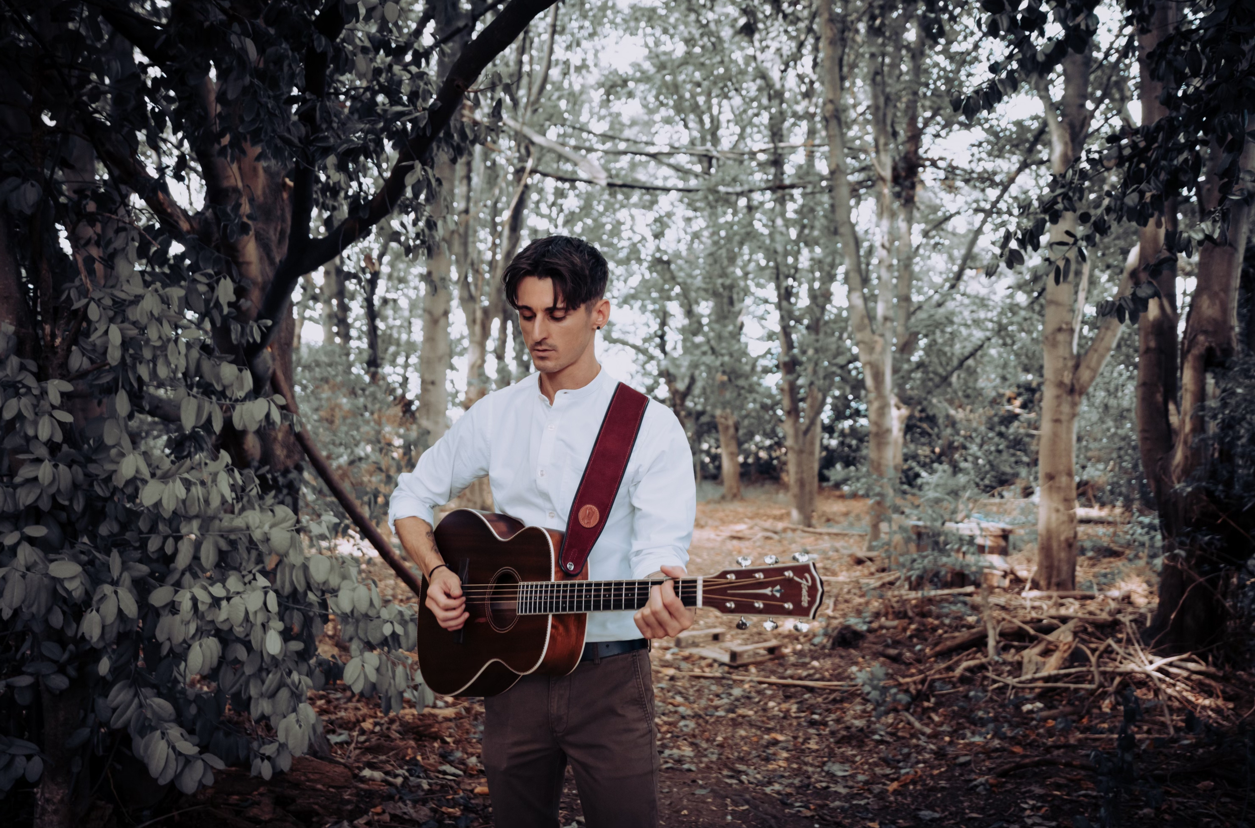 A young man wedding musician with dark hair, wearing a white shirt, playing an acoustic guitar in a forest with tall trees and fallen leaves.