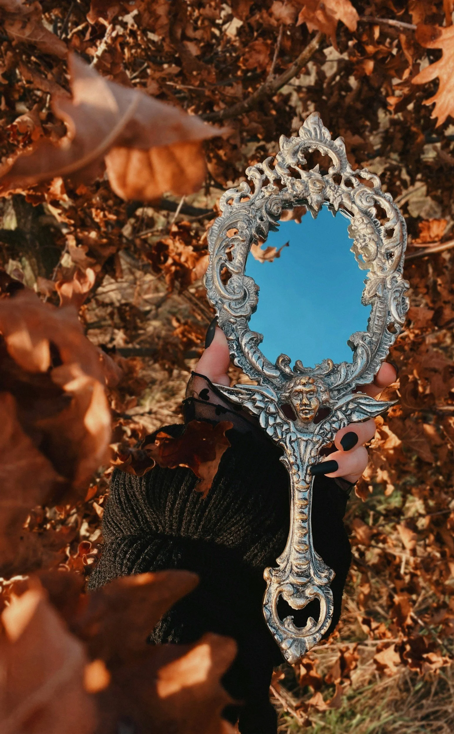A person holding an ornate vintage hand mirror with a decorative silver frame, reflecting a clear blue sky, surrounded by brown autumn leaves.