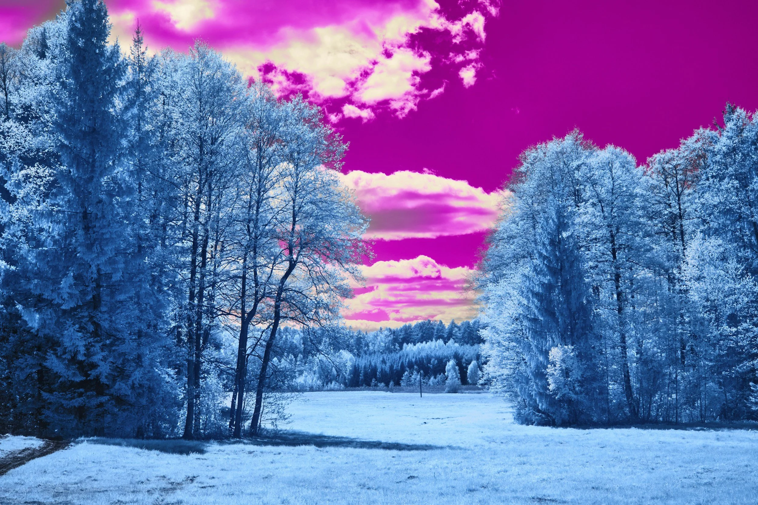 Enter into the Dreaming Time