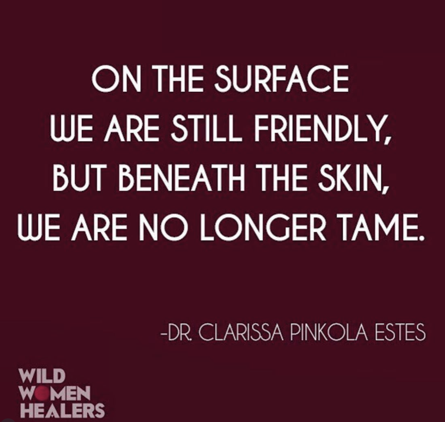 A quote on a dark red background that reads: "On the surface we are still friendly, but beneath the skin, we are no longer tame." by Dr. Clarissa Pinkola Estes. The bottom left corner contains the logo 'WILD WOMEN HEALERS' in pink and white.