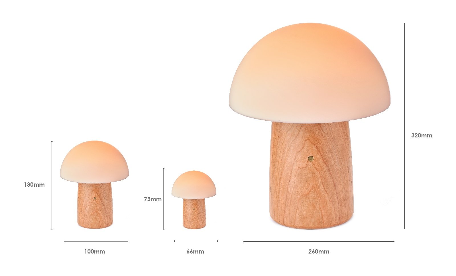 Gingko Alice Mushroom Light dimensions.jpg