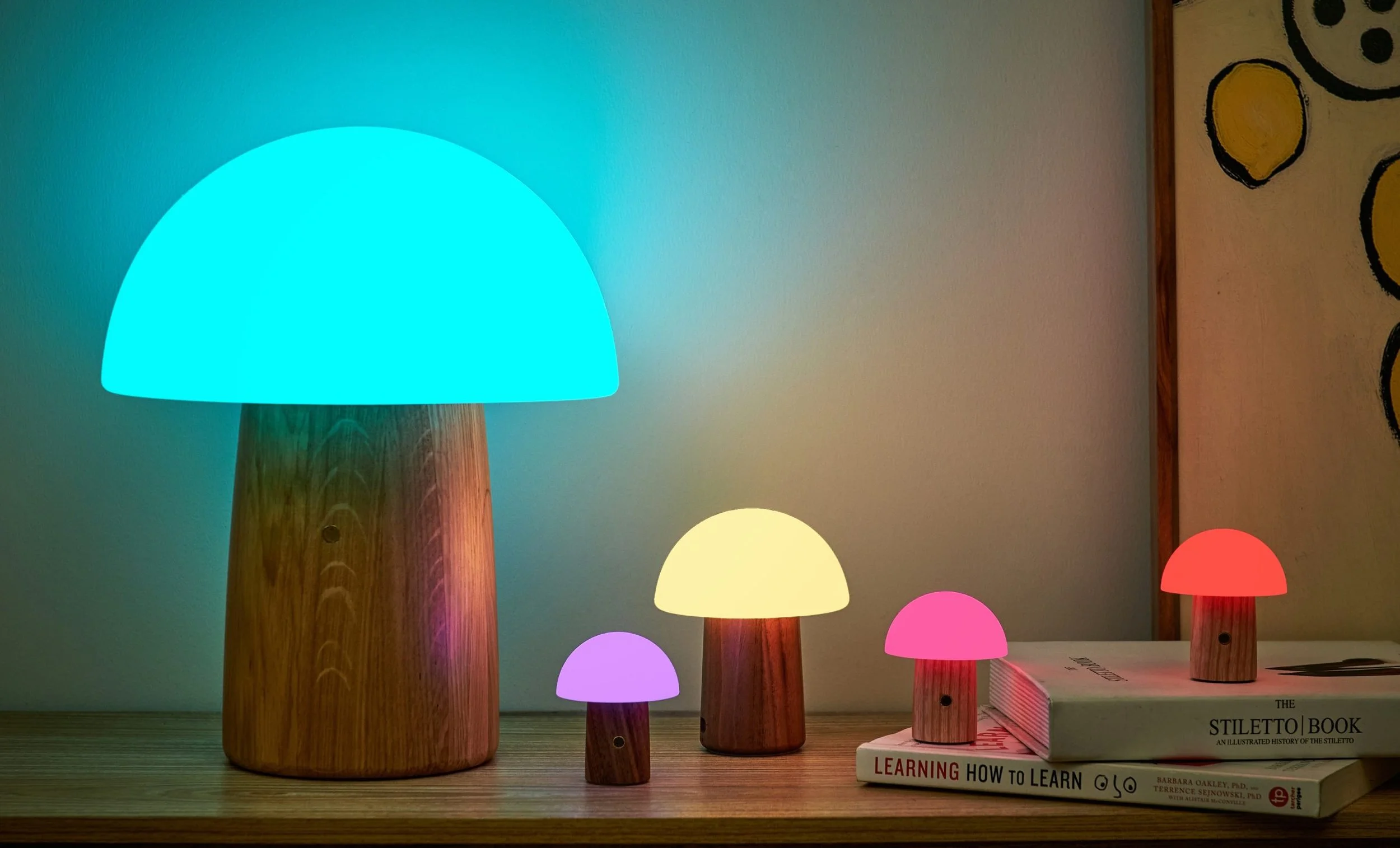 Alice-Mushroom-Collection-Group-Photos-1-scaled.jpg