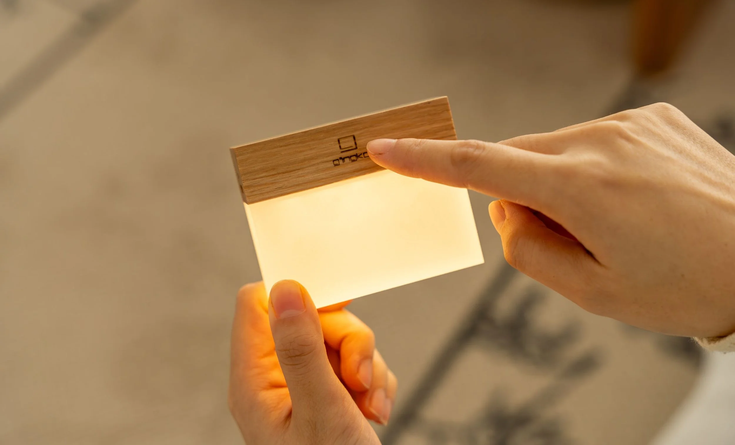 Gingko cura cheese white ash in hand.jpg