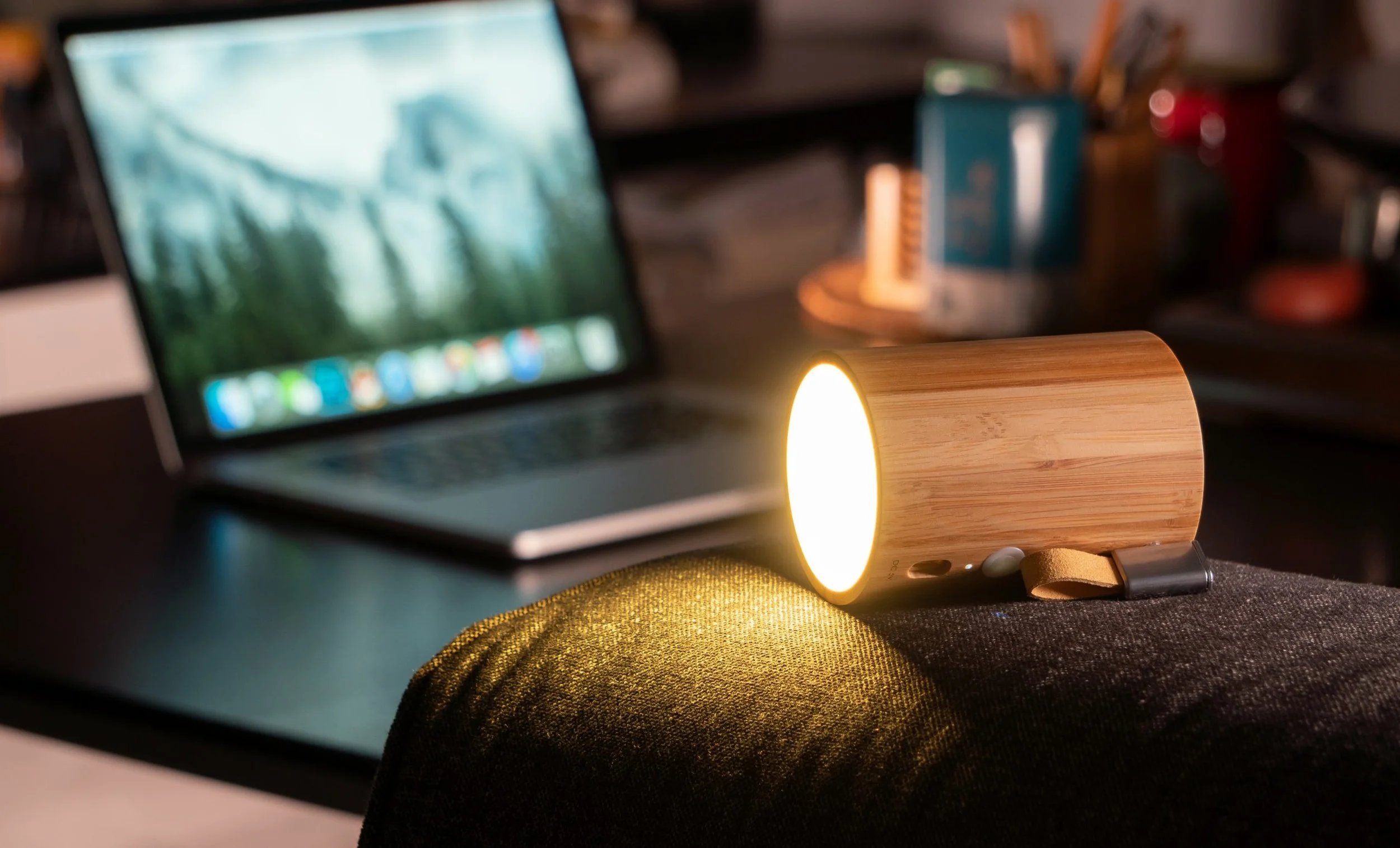 gingko drum light speaker white ash in use.jpg