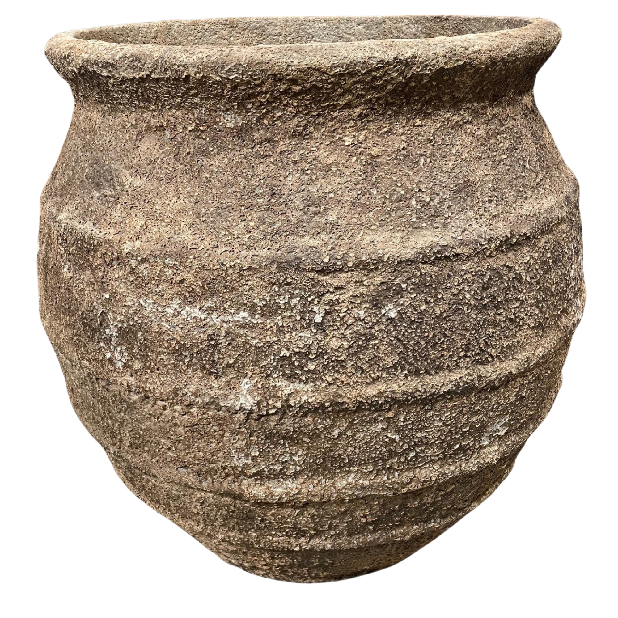 lebus coral 2.png
