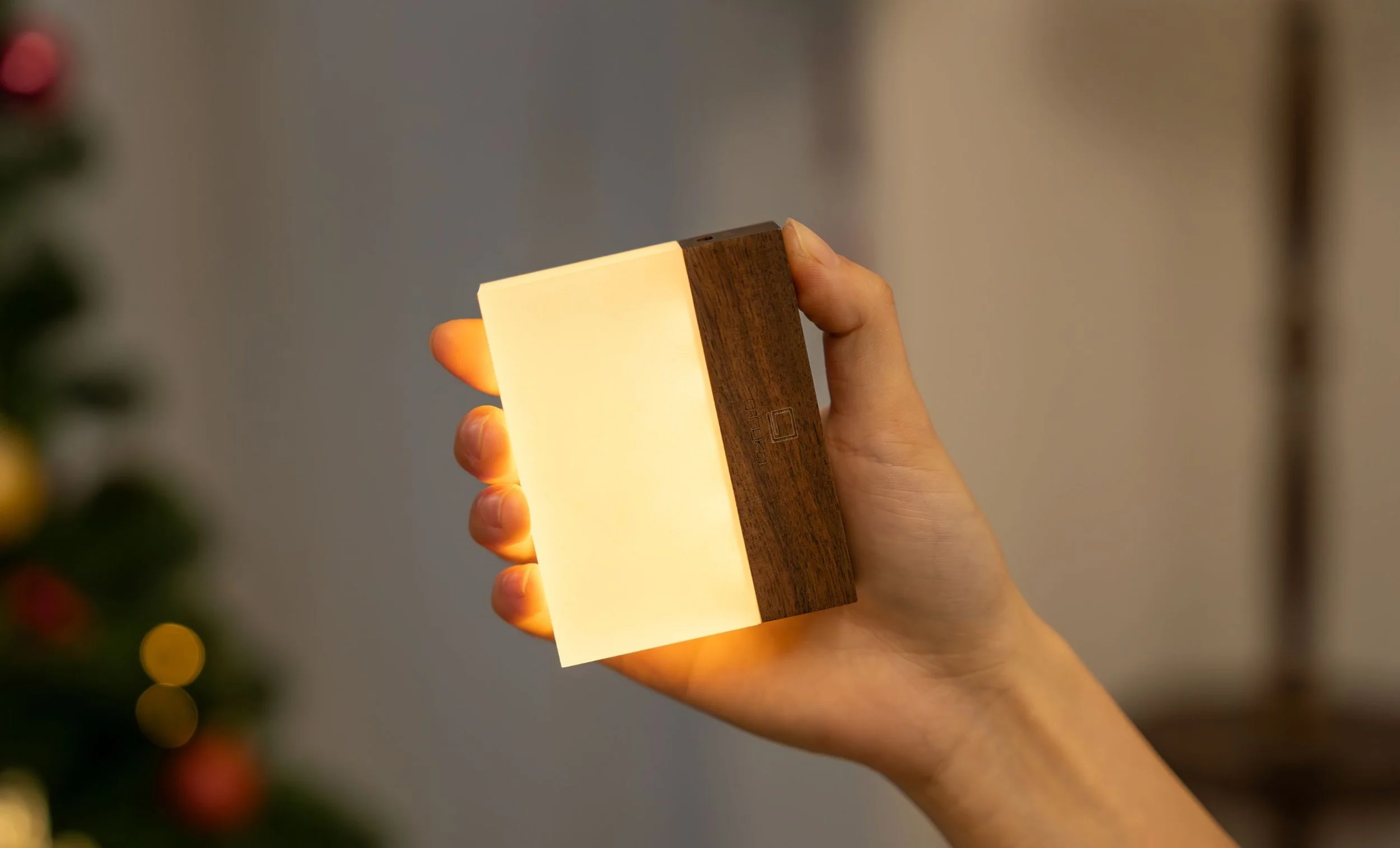 gingko cura cheese walnut light in hand.jpg
