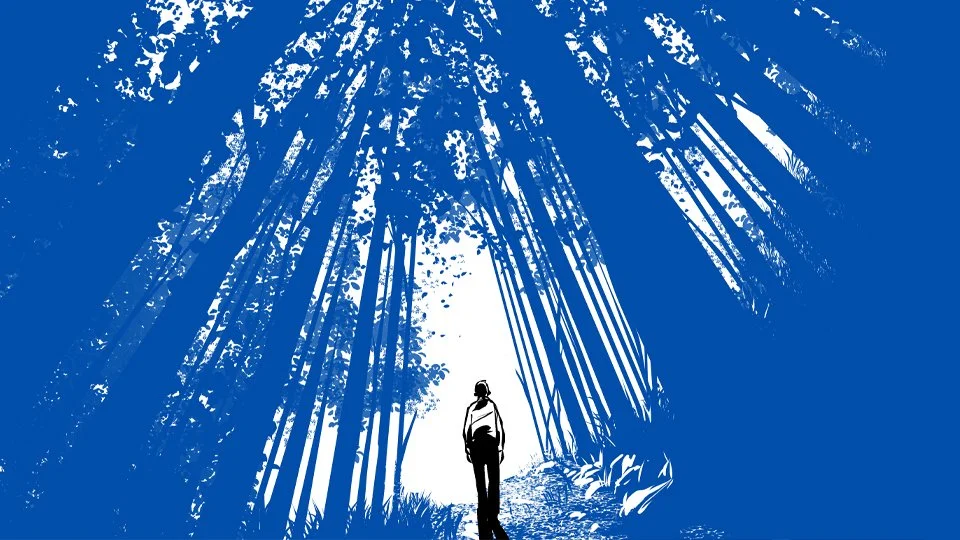If Architecture is the forest, What’s the Experience of Walking Through It?