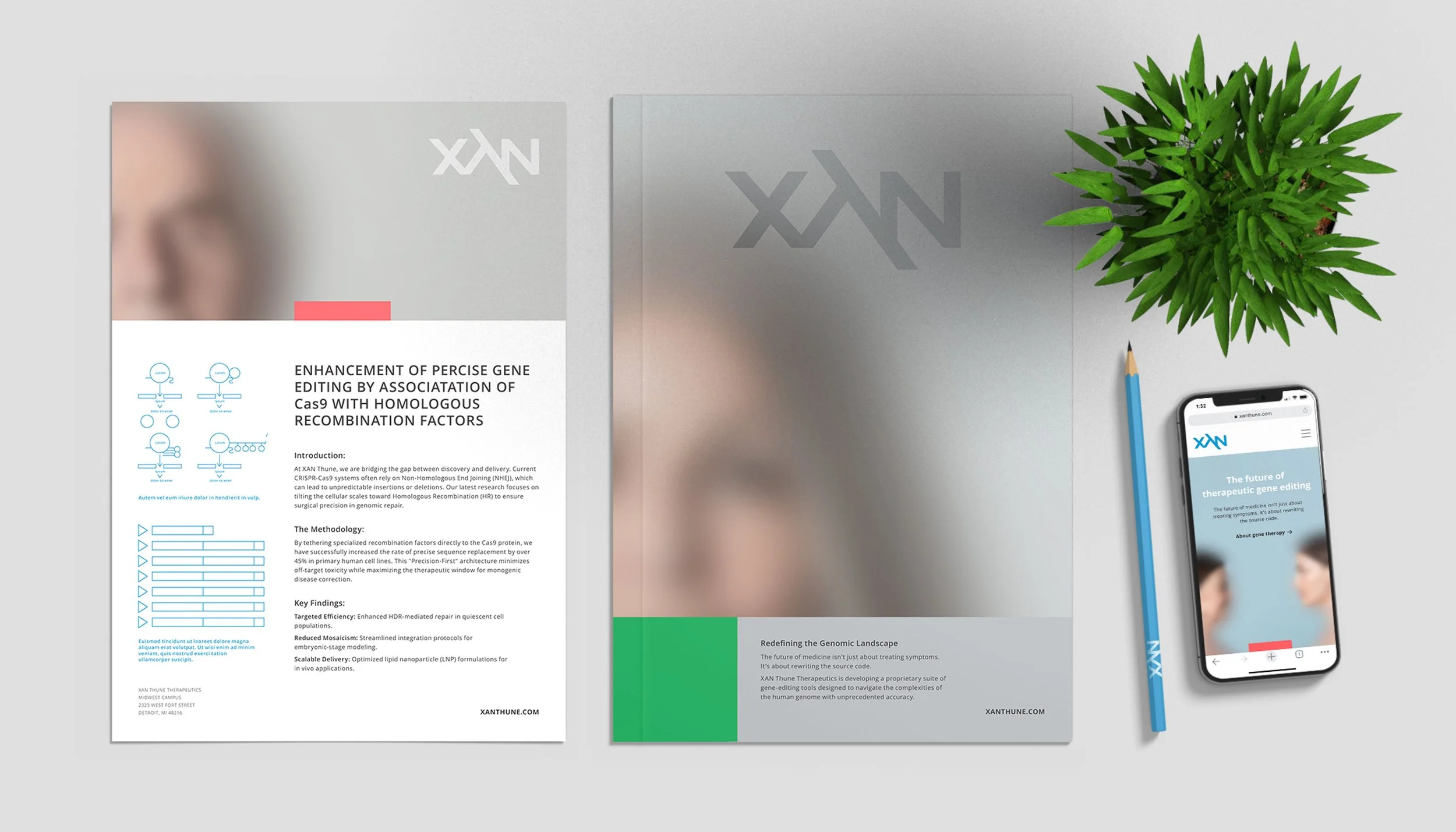 XAN Thune Therapeutics logo and brand design by Hiarki