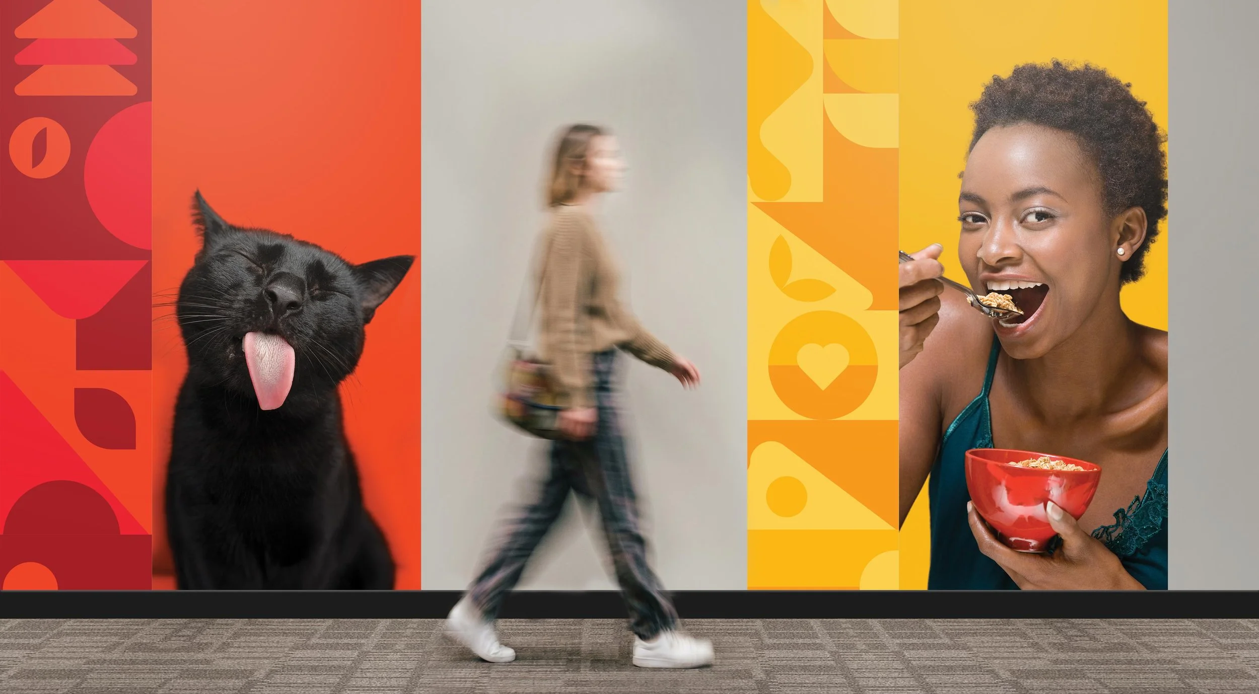 Environmental graphics design system by Hiarki combining imagery, pattern, and color to activate long hallway environments.