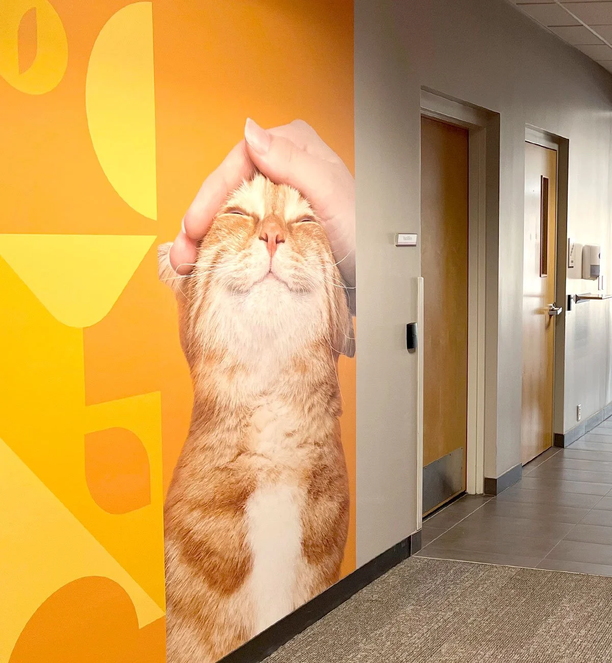 Environmental graphics design integrating large-scale imagery and color to energize long corridors.