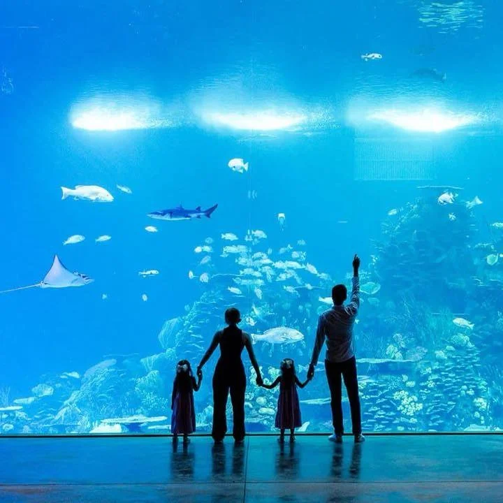Experience the wonders of the ocean at the Gran Acuario Mazatl&aacute;n, where complimentary admission awaits.

 This 75-acre marine park showcases the rich biodiversity of the Sea of Cortez, featuring 260 species of marine life, including mammals, c