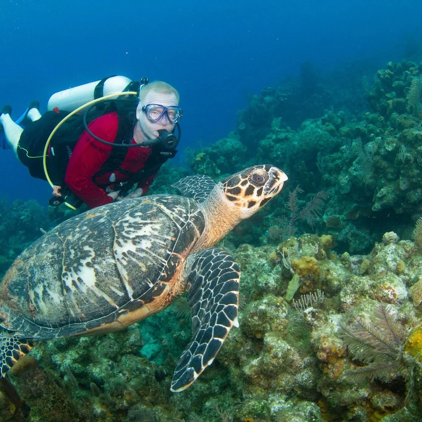 🌴🤿 Roat&aacute;n Scuba Trip &ndash; March  2027 🤿🌴

Ready to escape to the Caribbean and dive into crystal-clear waters? Join us for an unforgettable week of scuba diving in Roat&aacute;n &mdash; home to some of the best diving in the world along