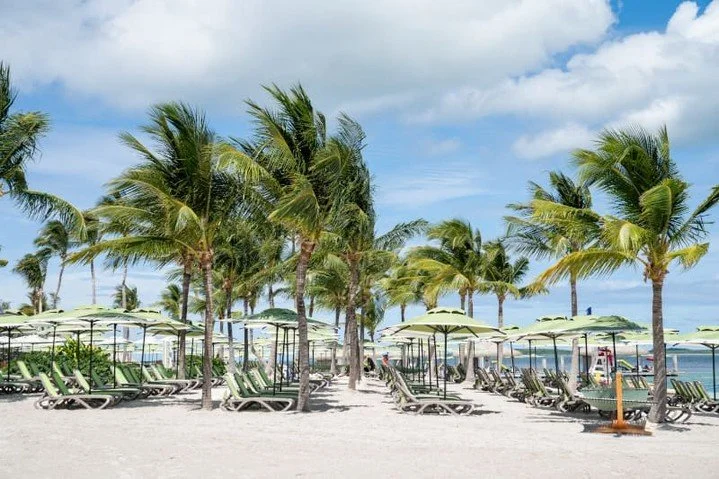 🌴☀️ Experience your Perfect Day at Coco Cay! Relax in the luxurious beachside lounge chairs at the Coco Cay Beach Club, where tropical vibes and beautiful views await. Soak up the sun, dip your toes in the water, and enjoy the idyllic setting of thi