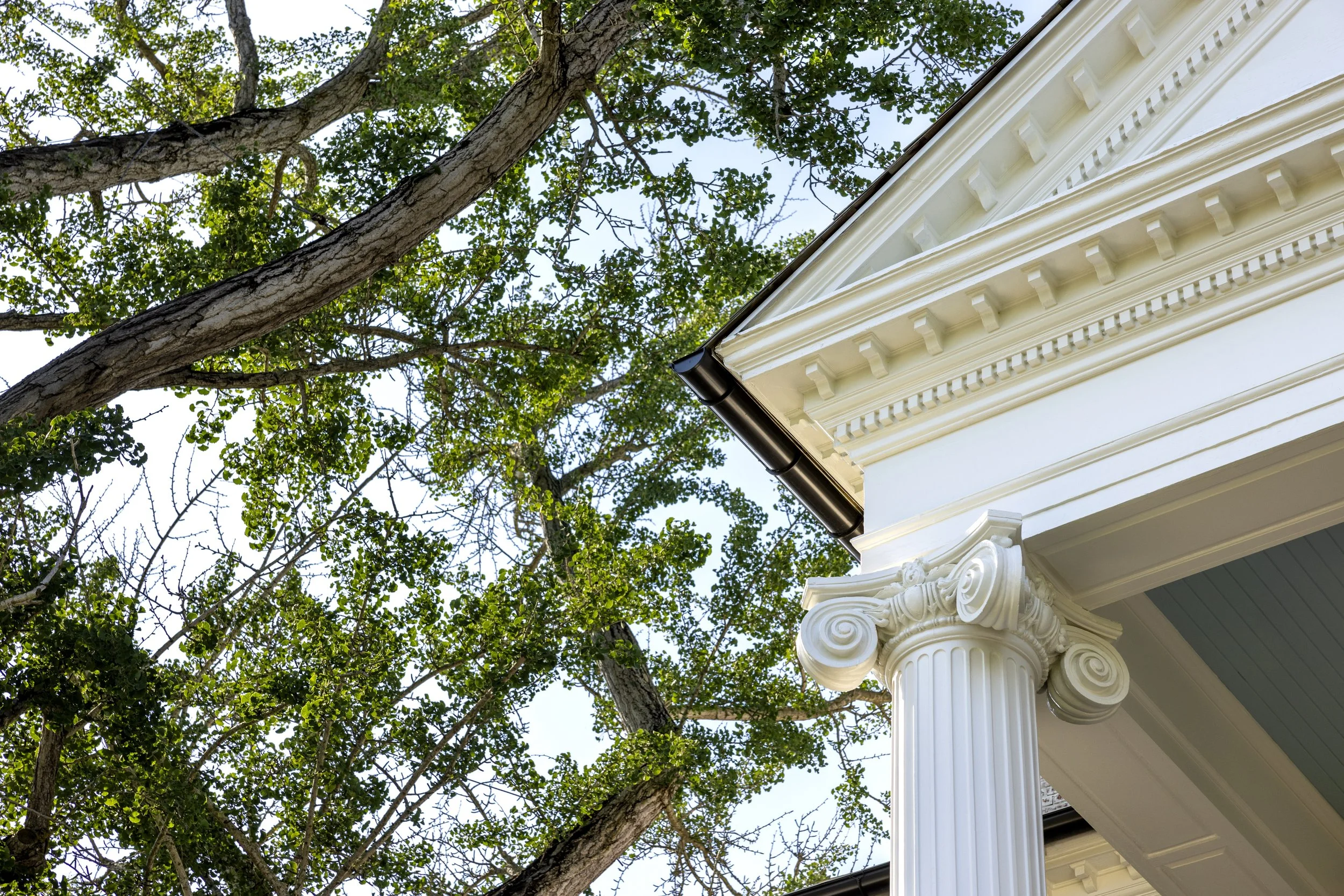 A white building with classical architectural details including ornate columns and decorative trim, seen from below with a large tree with green leaves and branches overhead, against a blue sky.