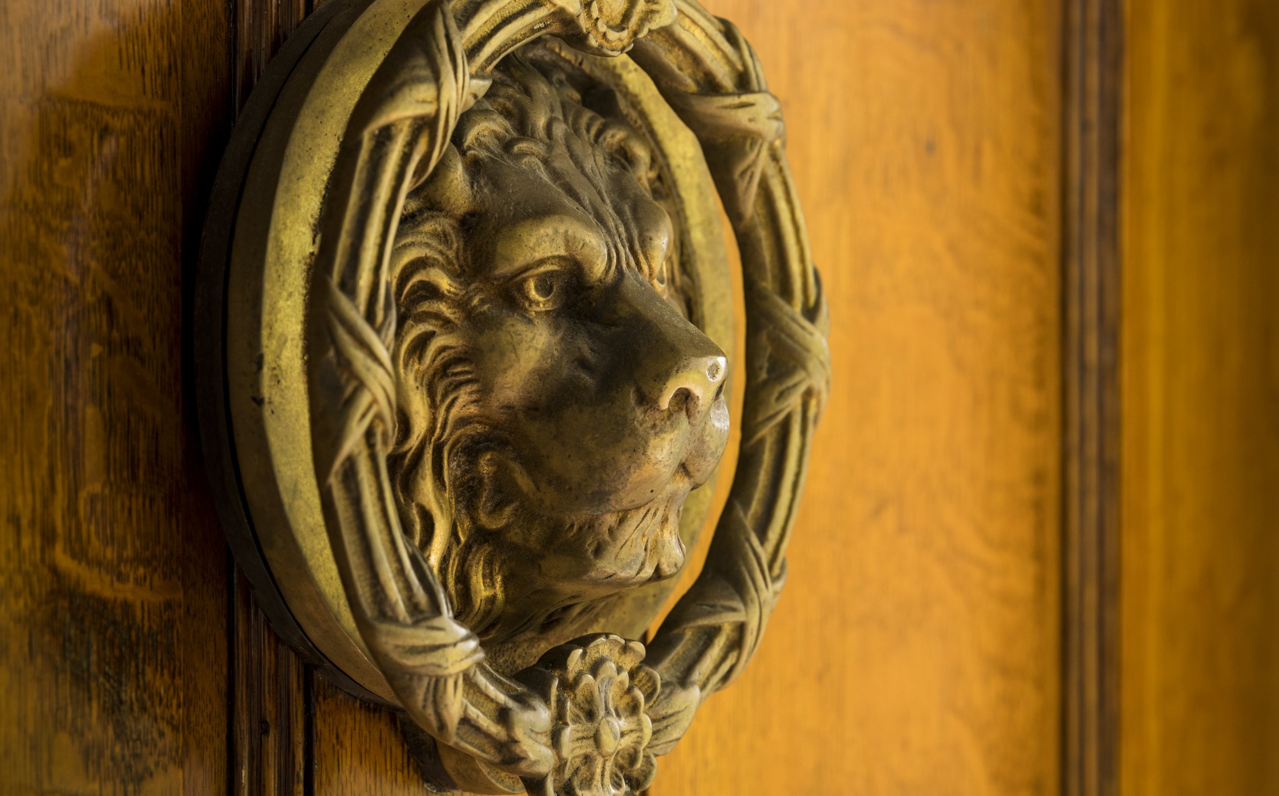 A decorative lion head door knocker mounted on a wooden door.