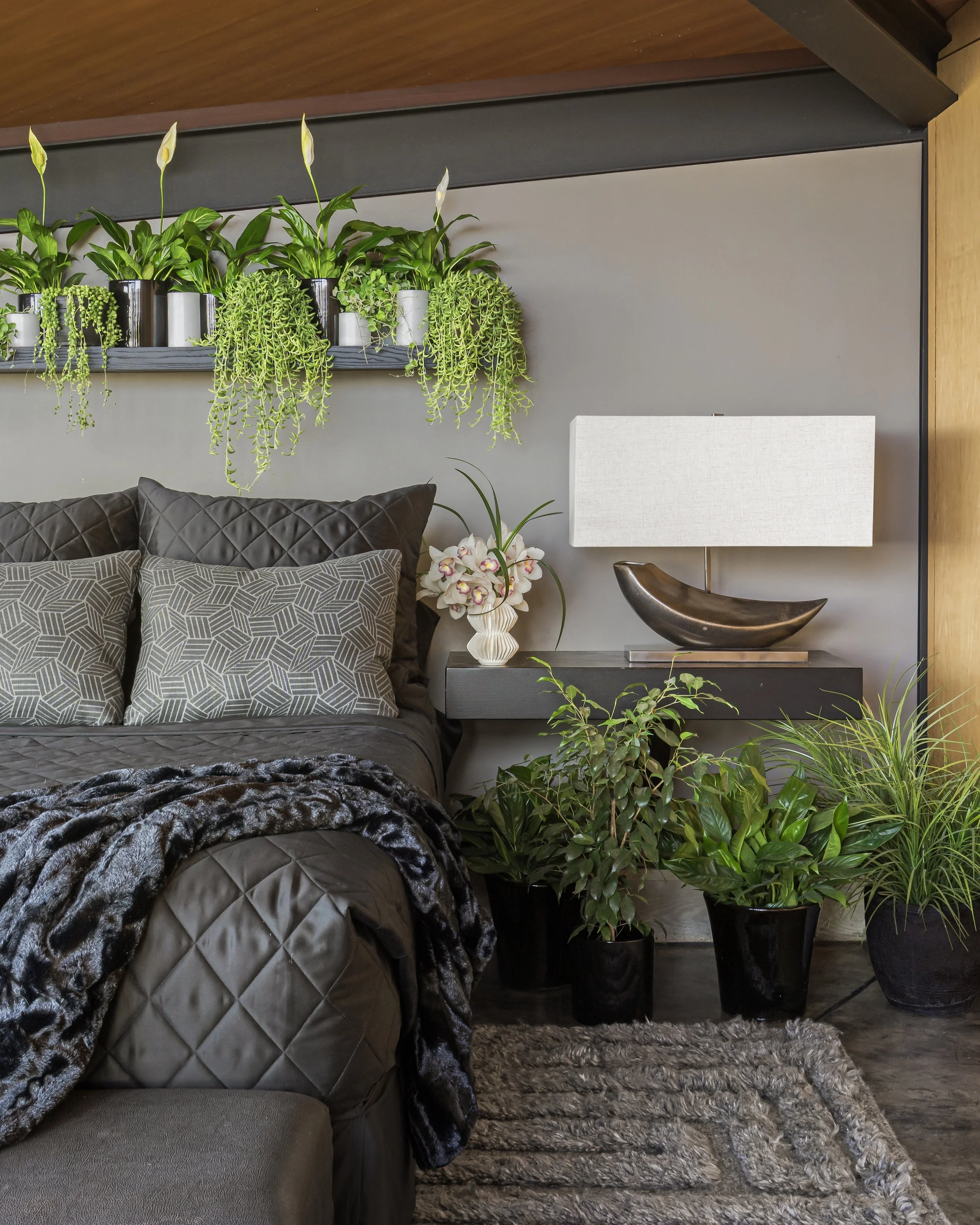 A modern living room with a black leather sofa, patterned pillows, a fur throw, and a textured gray rug. There are multiple potted plants, including orchids and lush greenery, on a dark side table and a floating shelf on a gray wall. A contemporary w