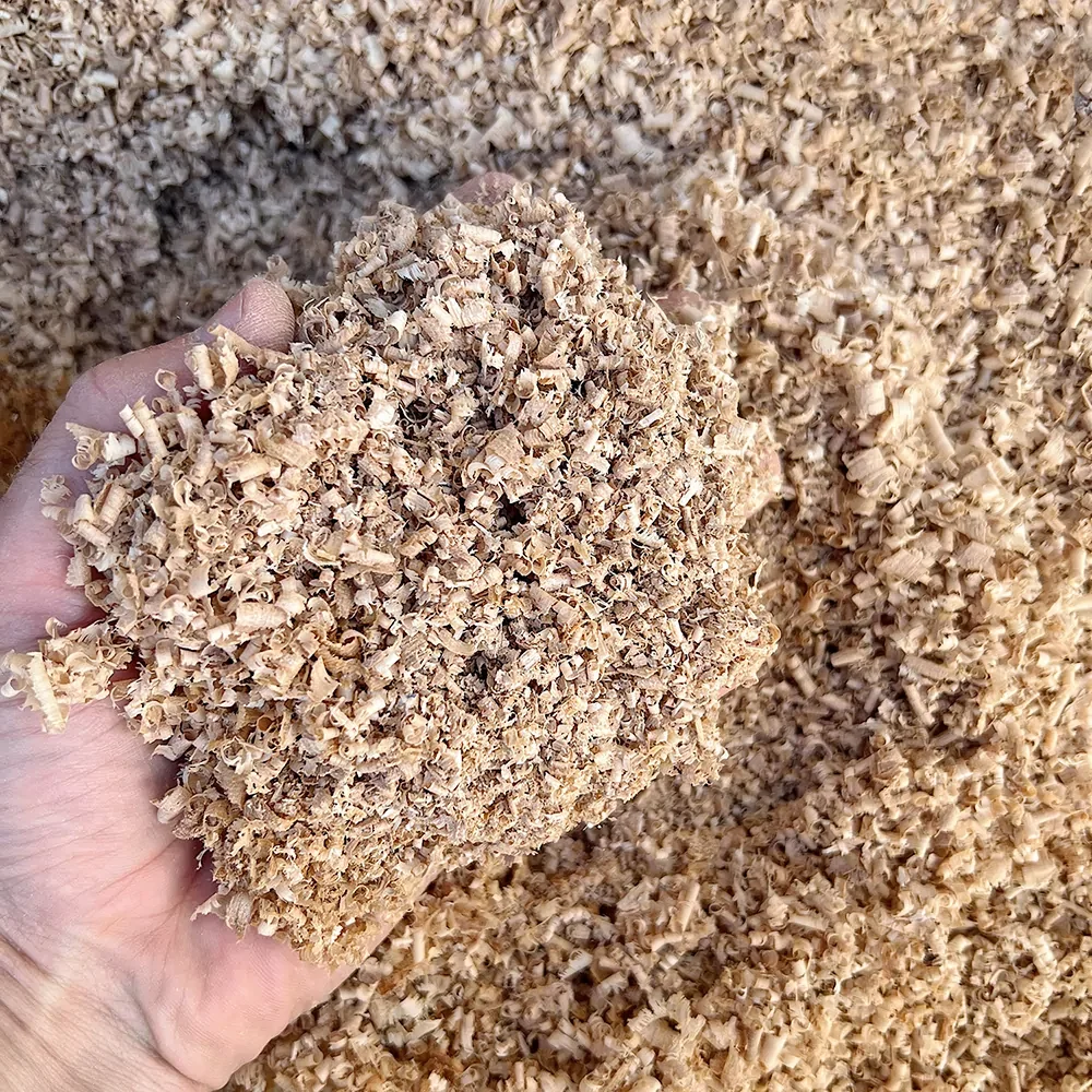 Sawdust