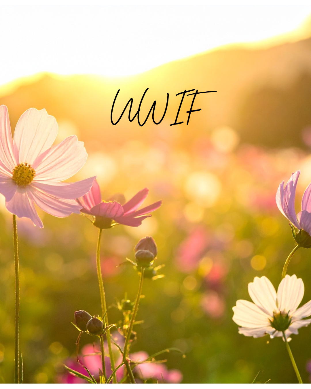 United Women in Faith