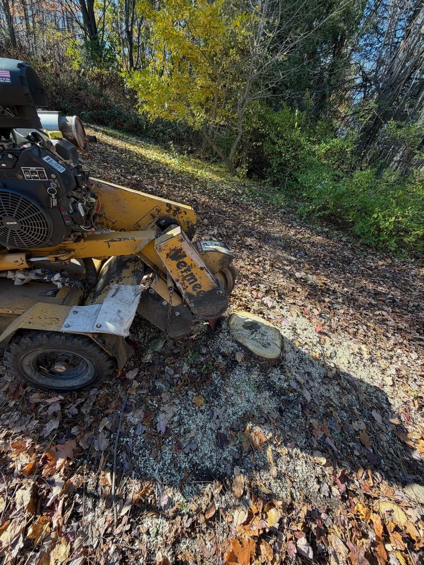 Dm for details&hellip; #stump #stumpcutter #stumpsquad #stumpclub #stumpwork #stumpjumper #stumpgrinding #stumpgrinder #stumped #stumpjumperfsr #stumping #stumpys #stumplife #stumpjumperevo #stumpgringingremoval #stumpgrindingottawa #stumpgrindingser