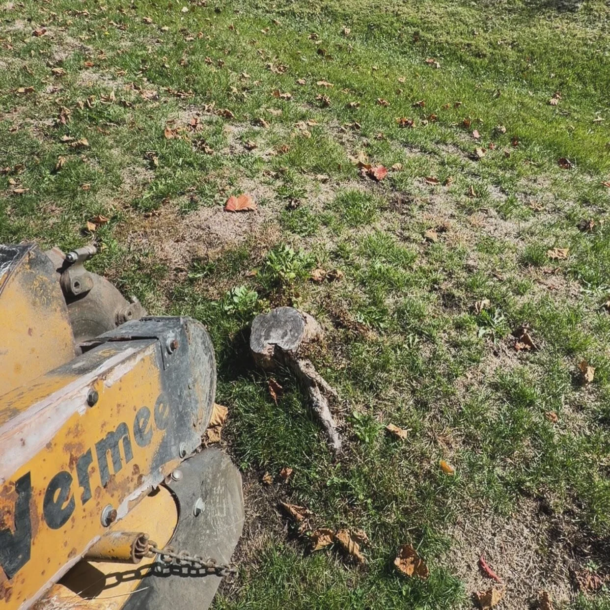 DM FOR DETAILS&hellip; #stump #stumpcutter #stumpremoval #stumpwork #stumpgrinding #stumplife #stumped #stumpgrinders #stumpgrindingservice #stumpgrindingservices #stumplife #stumpwood #stickmansstumpgrinding