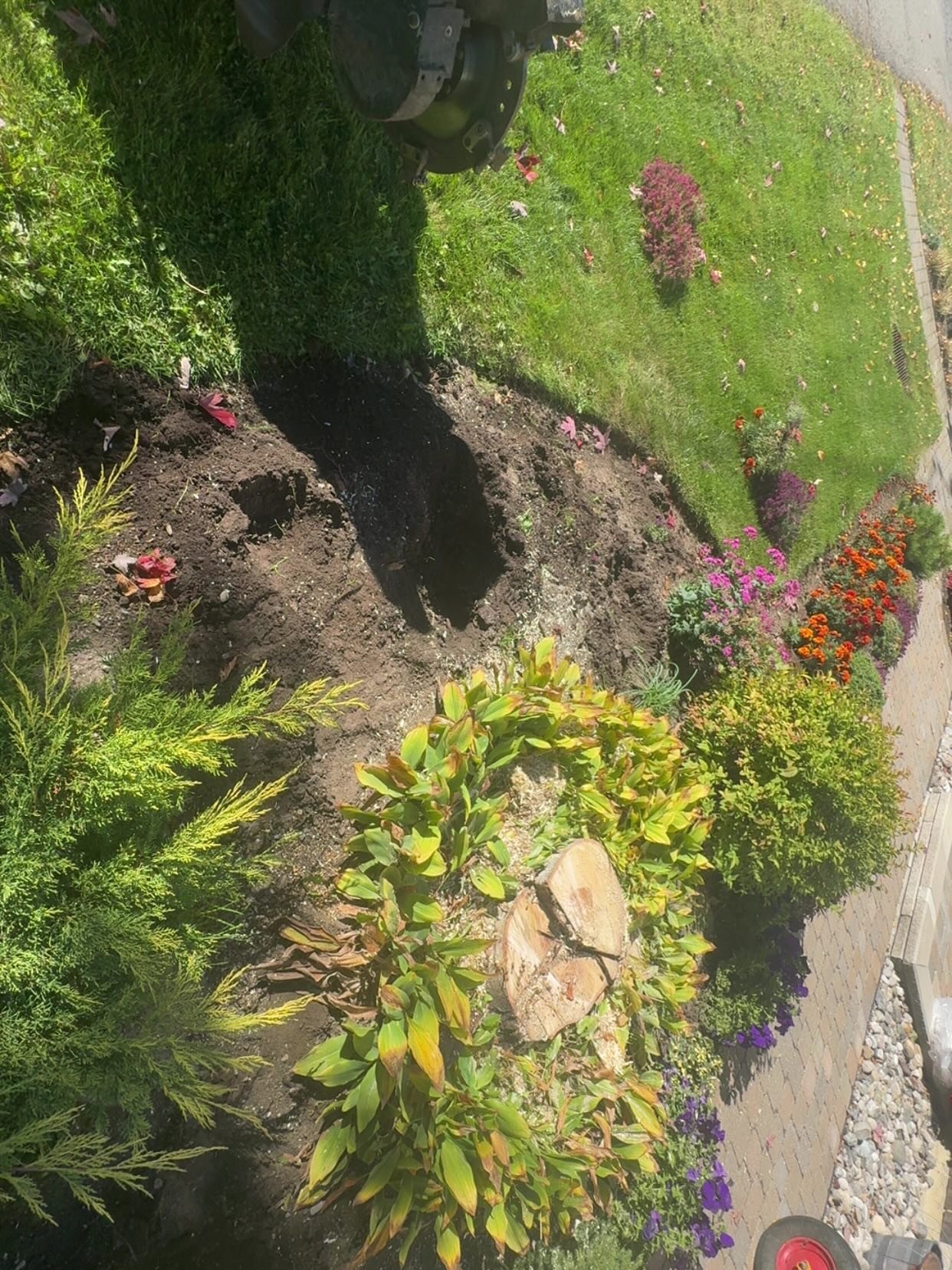 Dm for details&hellip; #stump #stumpclub #stumpcutter #stumpremoval #stumpwork #stumpwork #stumpgrinding #stumpgrinder #stumping #stumplife #stumpgrindingservices #stumpgrindit #stumpgrindingbusiness #ottawa #ontario #treestump #treestumpremoval #tre