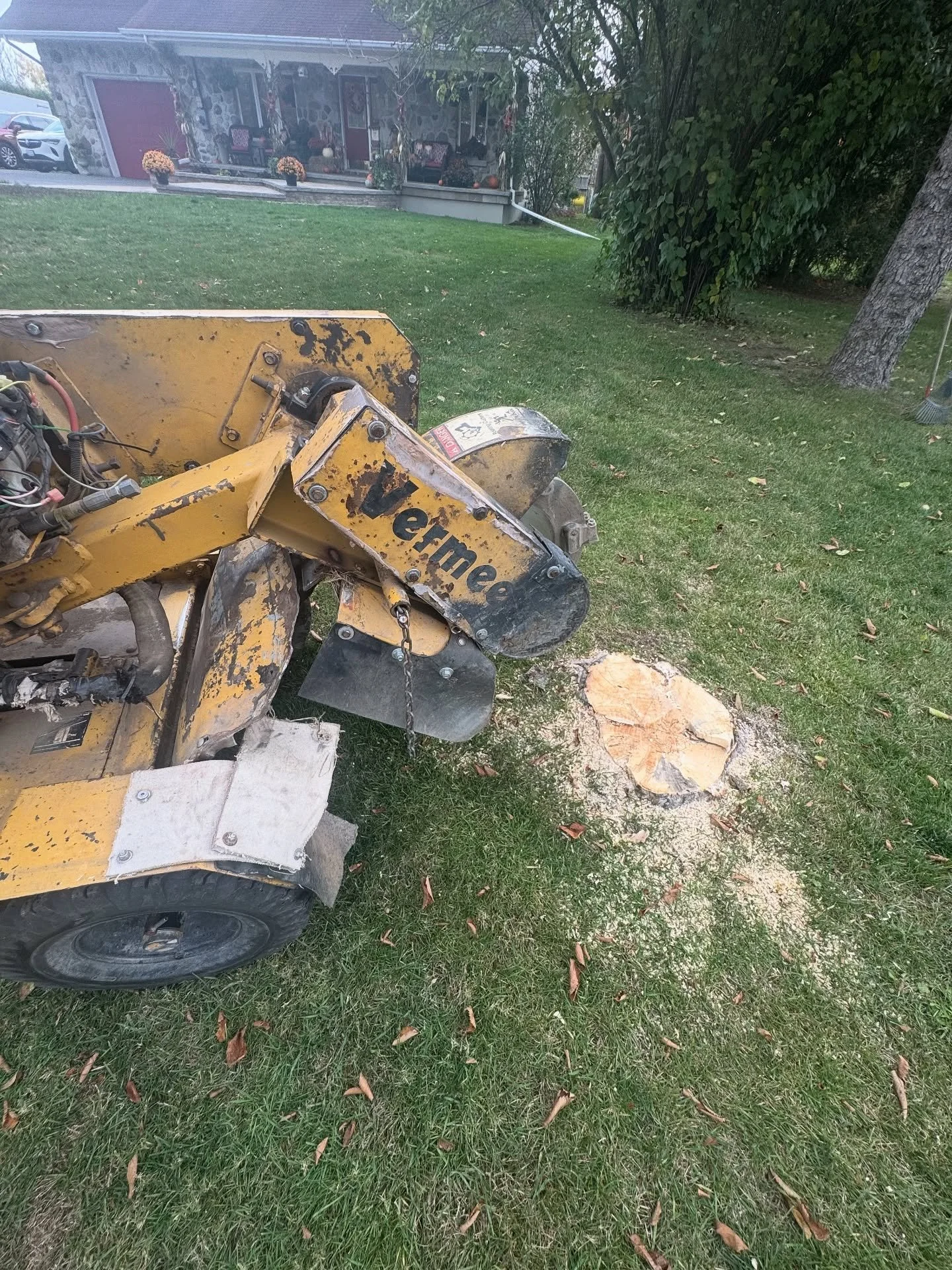 DM FOR DETAILS&hellip; #stump #stumpremoval #stumpcutter #stumpclub #stumpwork #stumpgrinding #stumpgrinder #stumped #stumpgrind #stumpgrindingservices #stumplife #stumpgrinders #ottawa #ontario #ottawastumpremoval #ontariostumpgrinding