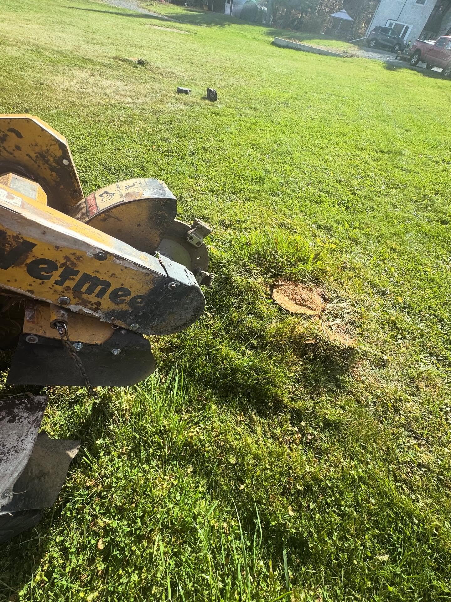 Dm for details&hellip; #stump #stumpclub #stumpcutter #stumpremoval #stumpwork #stumpgrinding #stumpjumper #stumplife #stumpjumperevo #stumpgrindingservices #stumpgrindingservice #stumped #stumpworkembroidery #ottawa #ontario