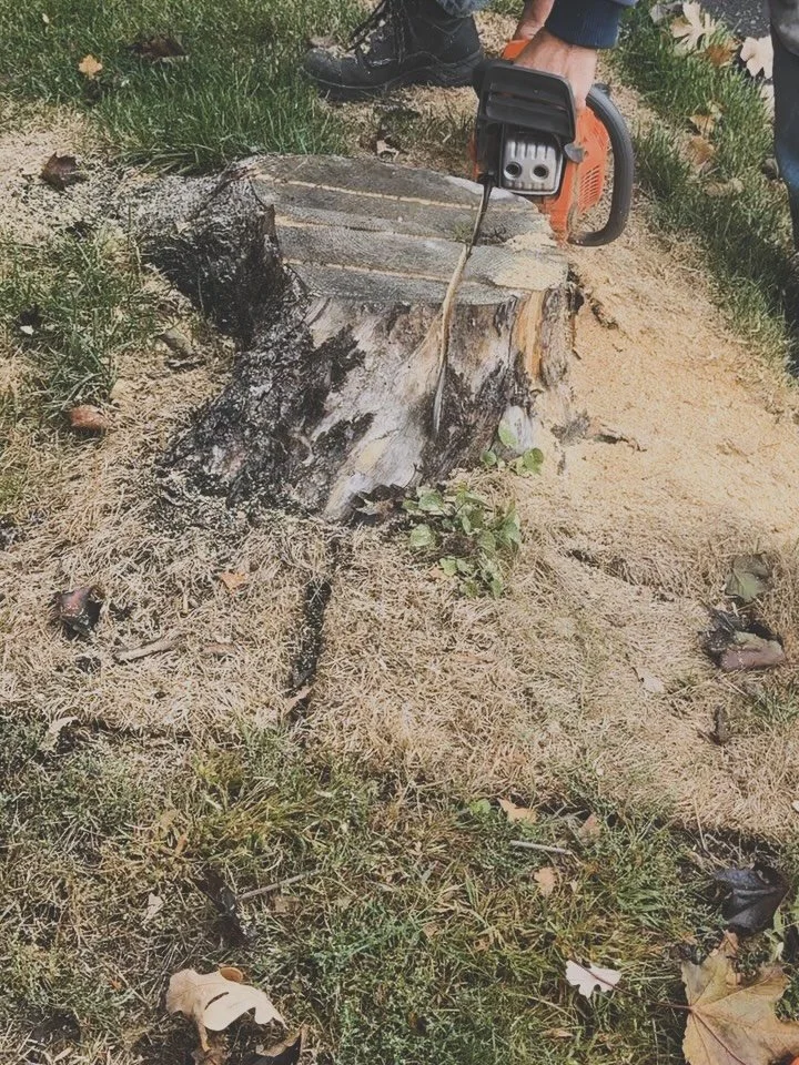 Dm for details&hellip; #stump #stumpclub #stumpcutter #stumpremoval #stumpwork #stumpjumper #stumpgrinding #stumpgrinder #stumping #stumpgrindingservices #stumpgringingremoval #ottawa #ontario