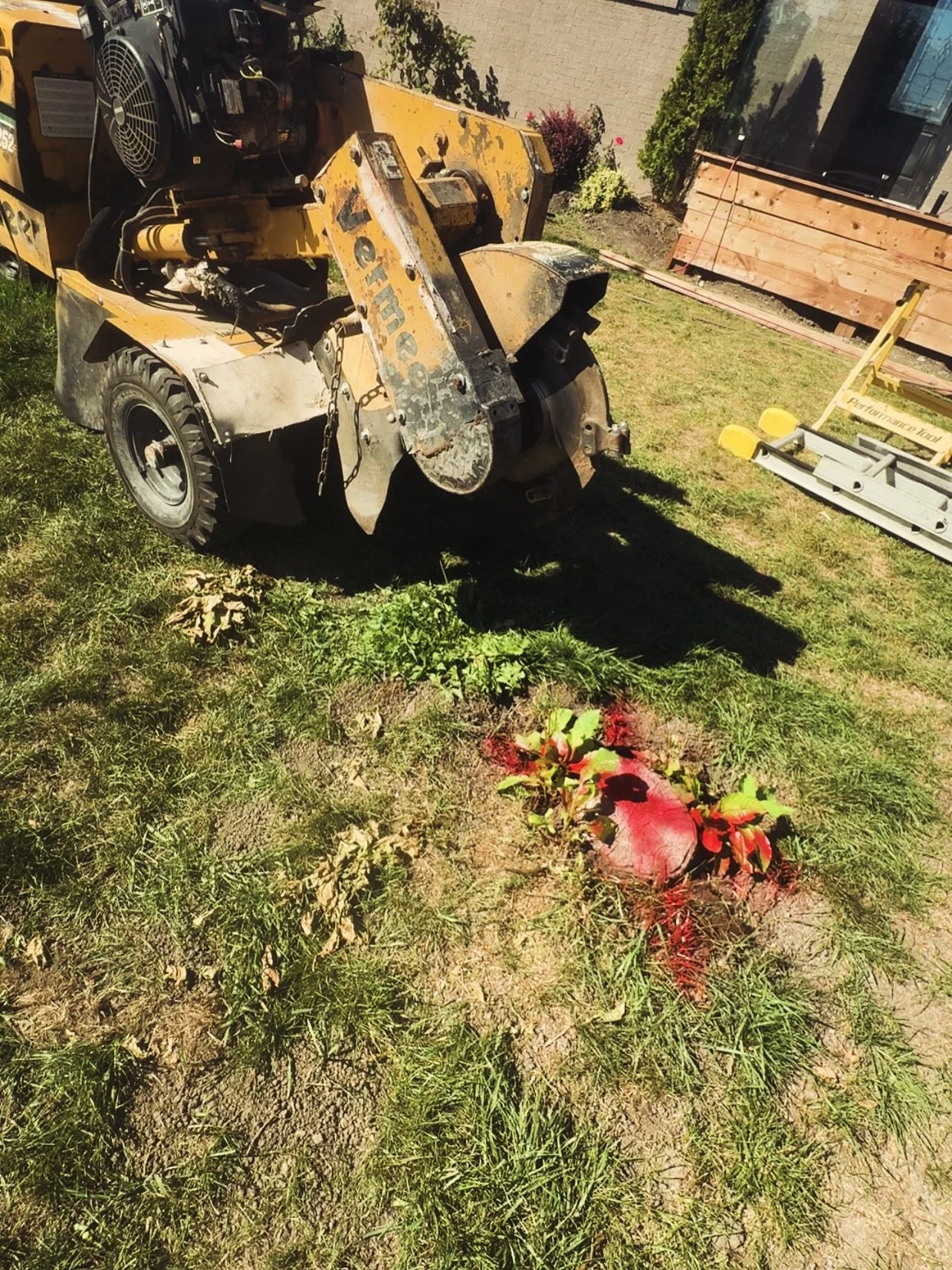 Dm for details.. #stump #stumpremoval #stumpwork #stumpjumper #stumpgrinding #stumpgrinder #stumped #stumping #stumpgrindingservices #ottawa #ontario