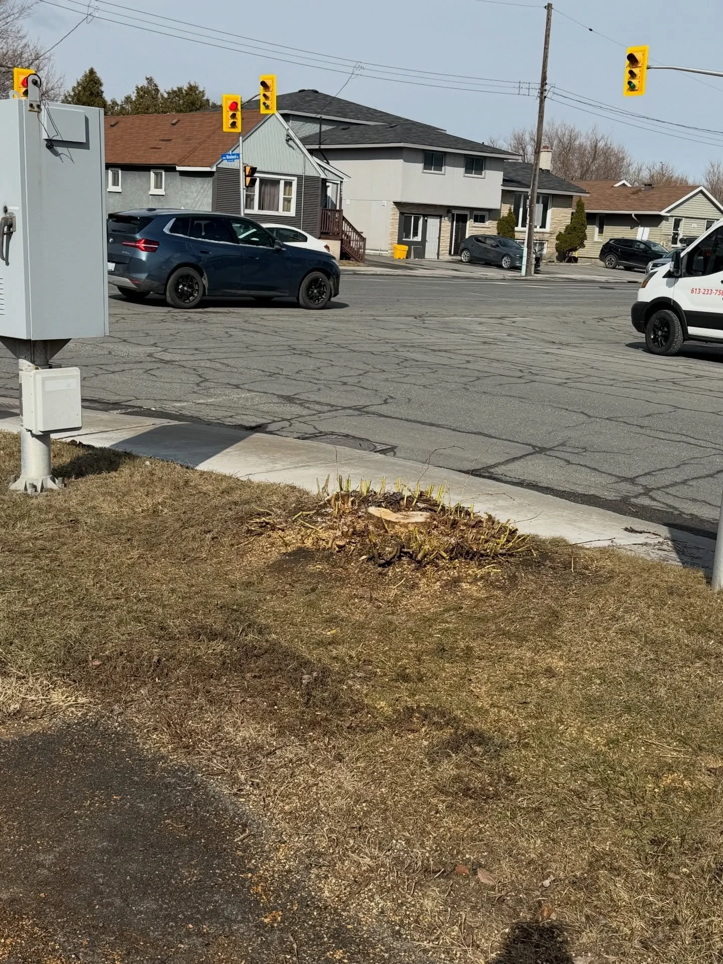 Proudly serving our community with dependable, professional stump removal services you can trust.
At Stickman Stump Removal, we believe in honest work, fair pricing, and results that speak for themselves.
Every project is handled with care, respect f