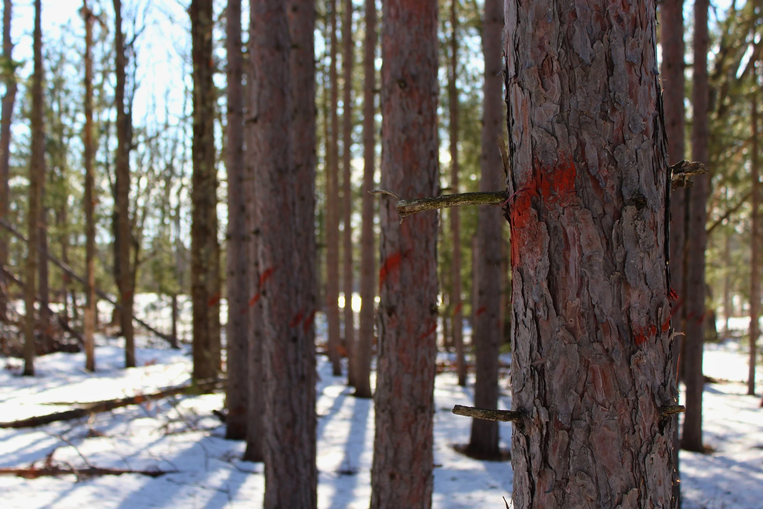 IMG_4577 - Edited.jpg