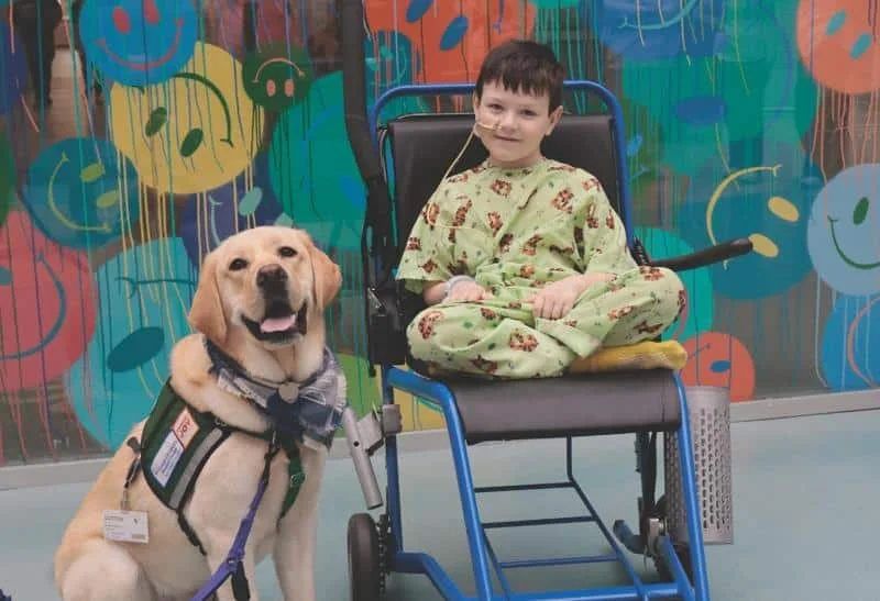 Meet Dutton: A Full-Time Facility Dog at Cohen Children’s Medical Center