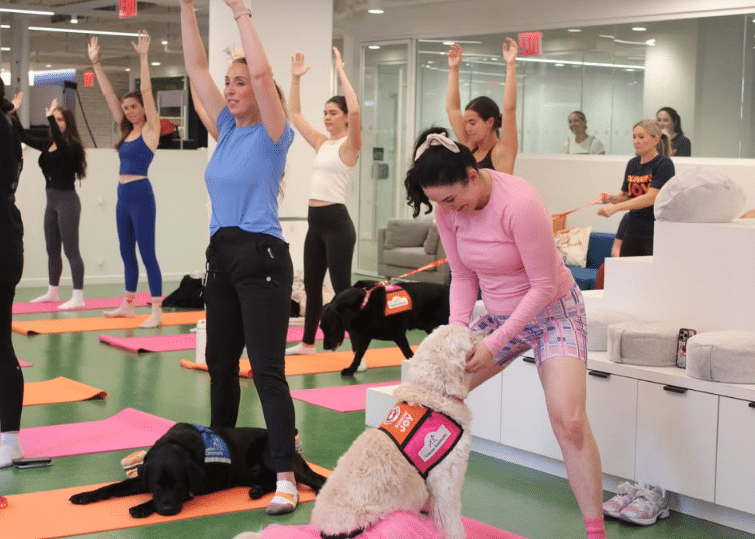 Dunkin’ x BARK 2025 Dog Toys Support Facility Dogs in Children’s Hospitals