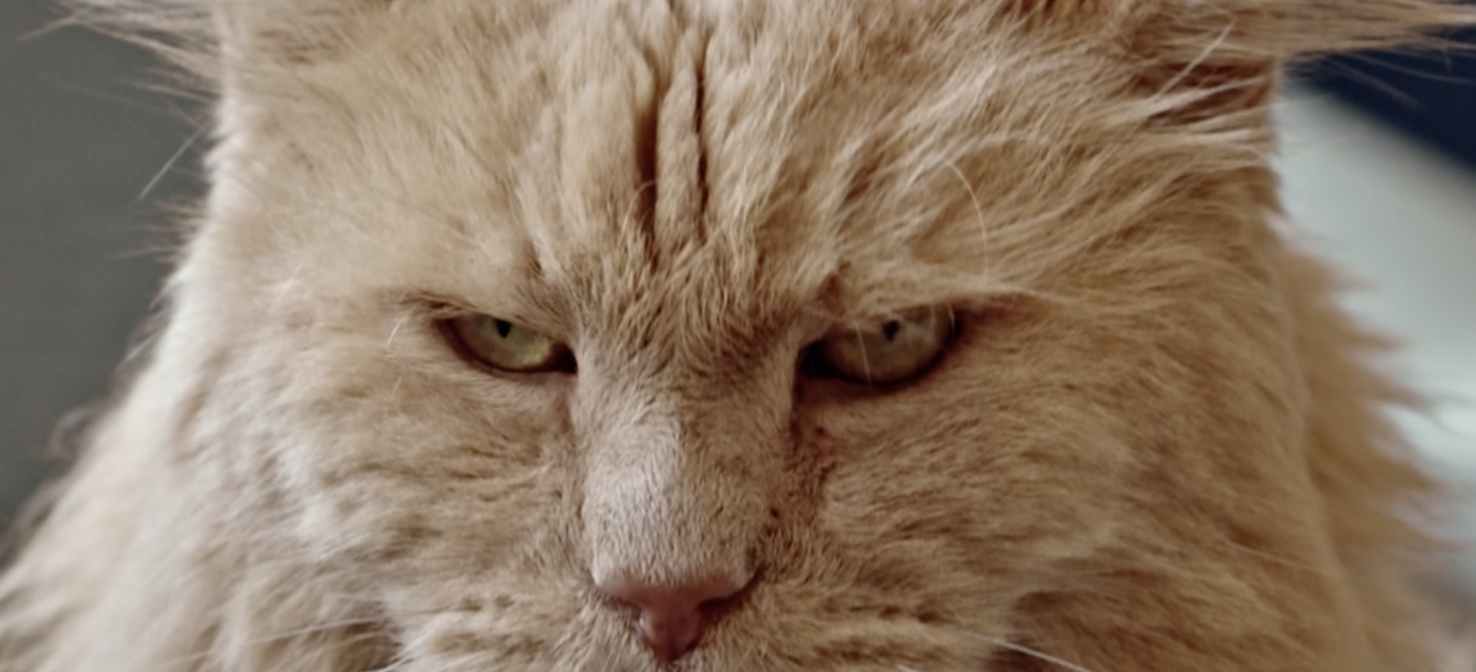 SwedenCare – Oral care without a fight