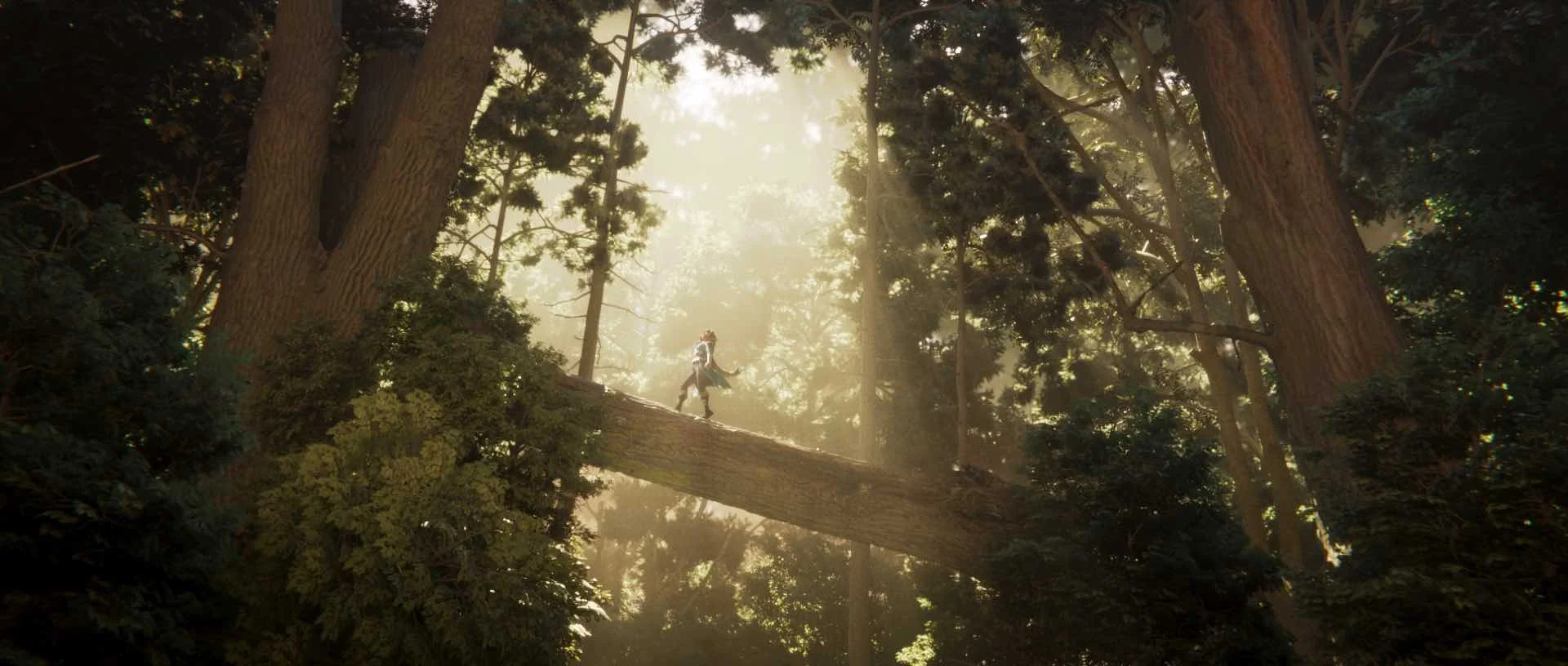 FOREST_renderFullRes_COMP_v17.jpg