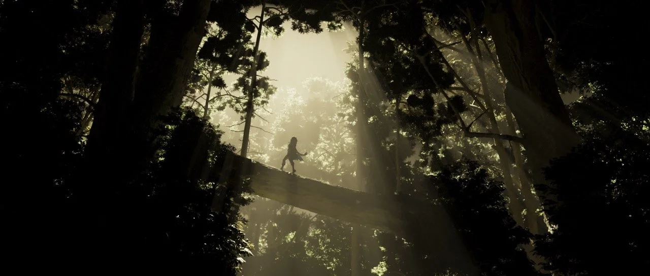 FOREST_renderFullRes_KEY_v17 a mida gran.jpeg