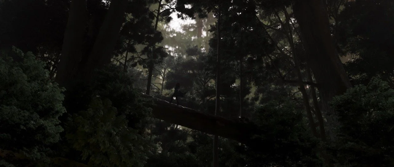 FOREST_renderFullRes_matte_v17 a mida gran.jpeg