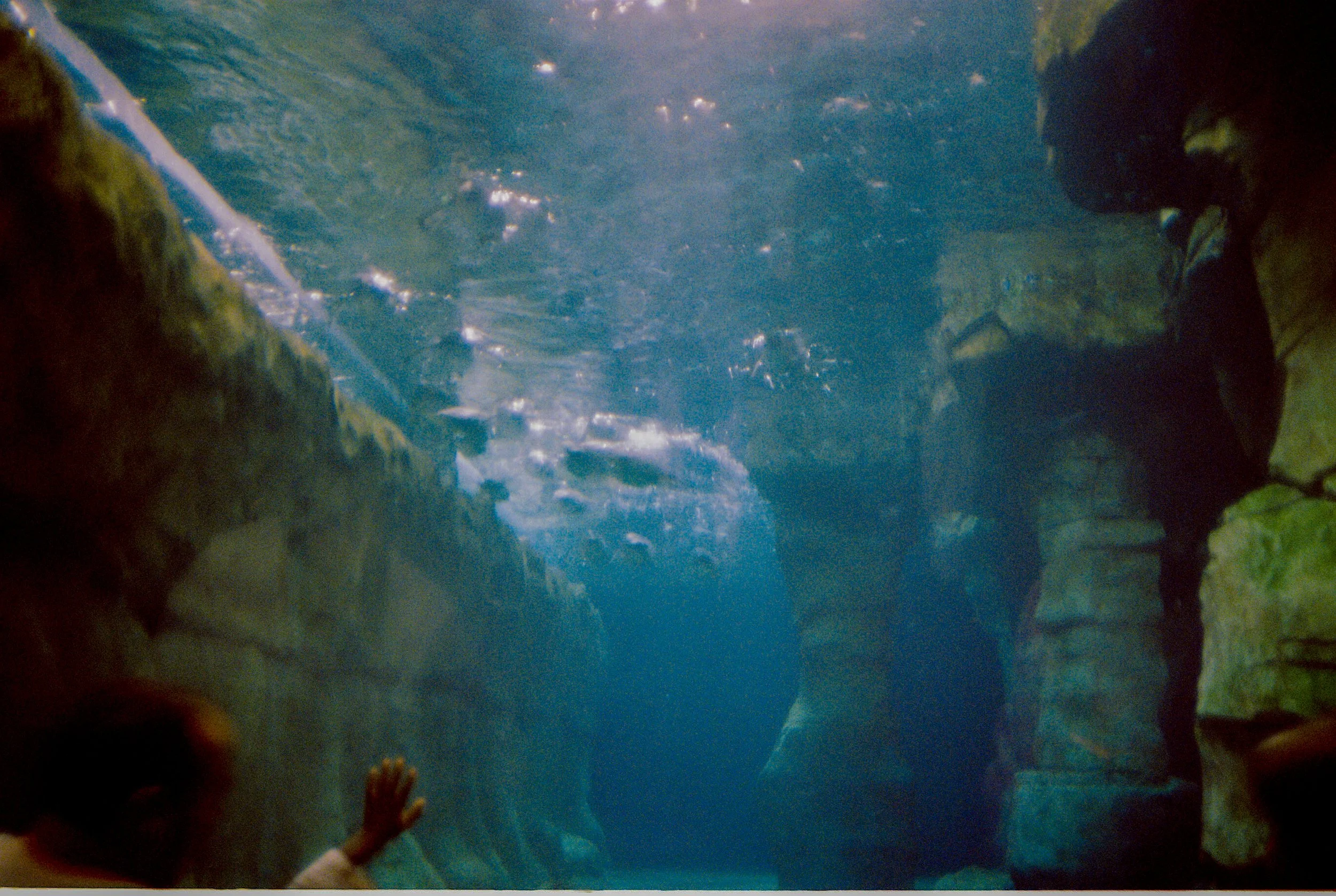 2025-87.jpg