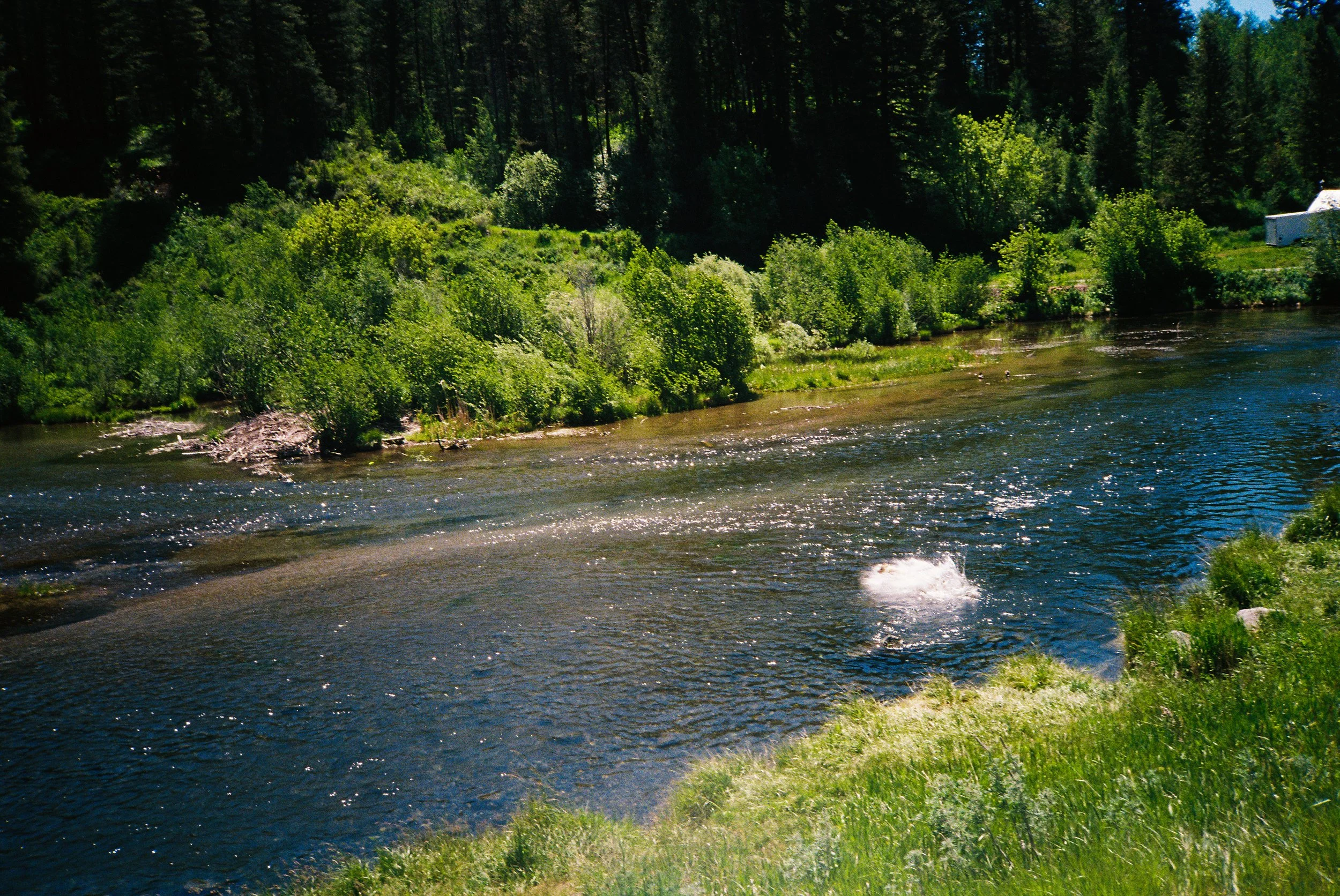 Yoder000921-R1-029-13.jpg