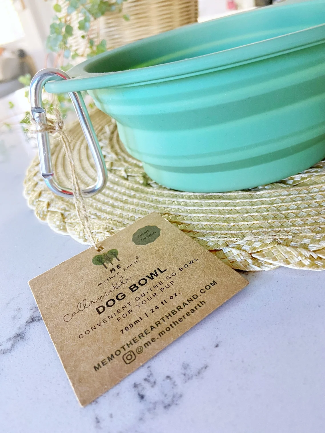 Collapsible Silcone Dog Bowl