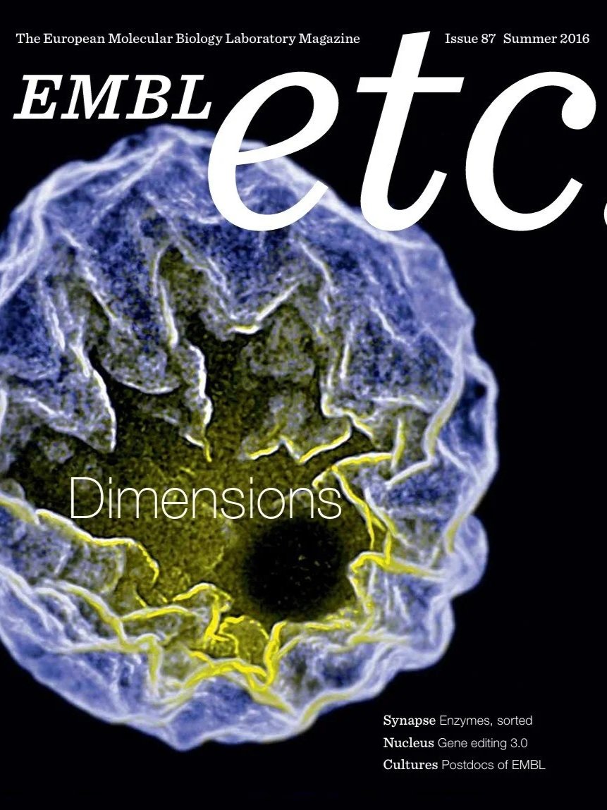 Issue 87, Summer 2016: An issue exploring biological complexity across scales. I oversaw narrative structure and wrote accessible articles on gene editing, enzymes, and molecular biology.