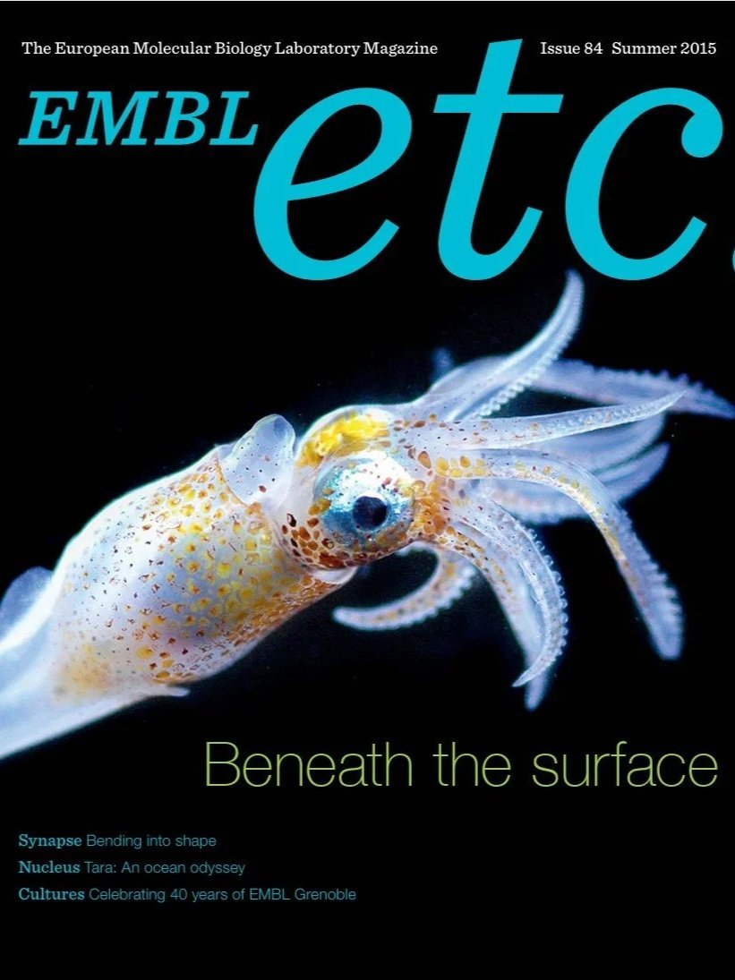 Issue 84, Summer 2015: An issue uncovering hidden biological worlds and ideas. I shaped the narrative structure and contributed pieces on marine science, molecular research, and discovery.