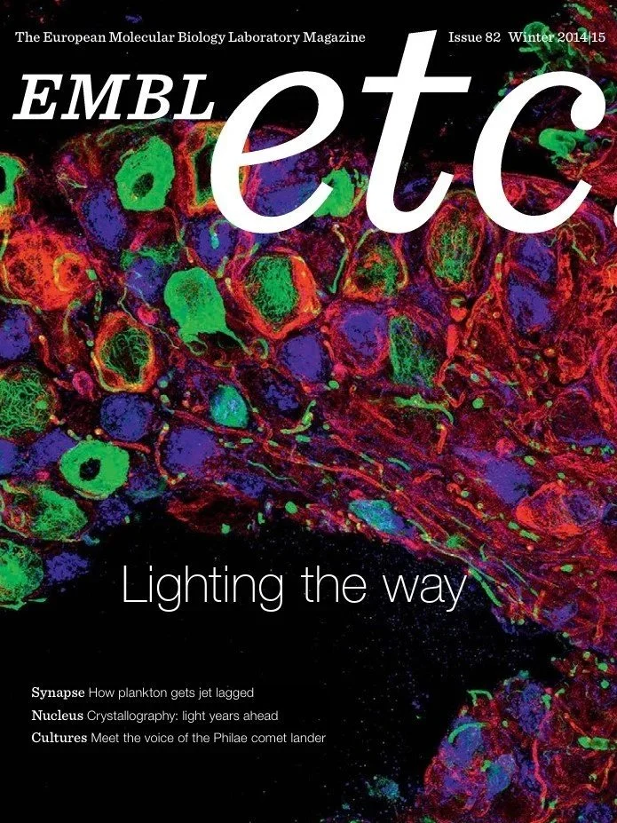 Issue 82, Winter 2014: An issue highlighting how light shapes scientific discovery. I guided the editorial flow and contributed features on imaging, crystallography, and emerging research.