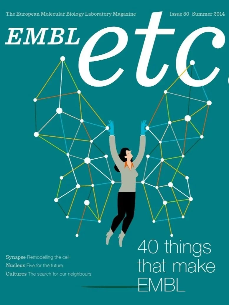 Issue 80, Summer 2014: A celebratory issue capturing EMBL’s defining ideas. I shaped the narrative structure and contributed pieces on molecular research, innovation, and community life.